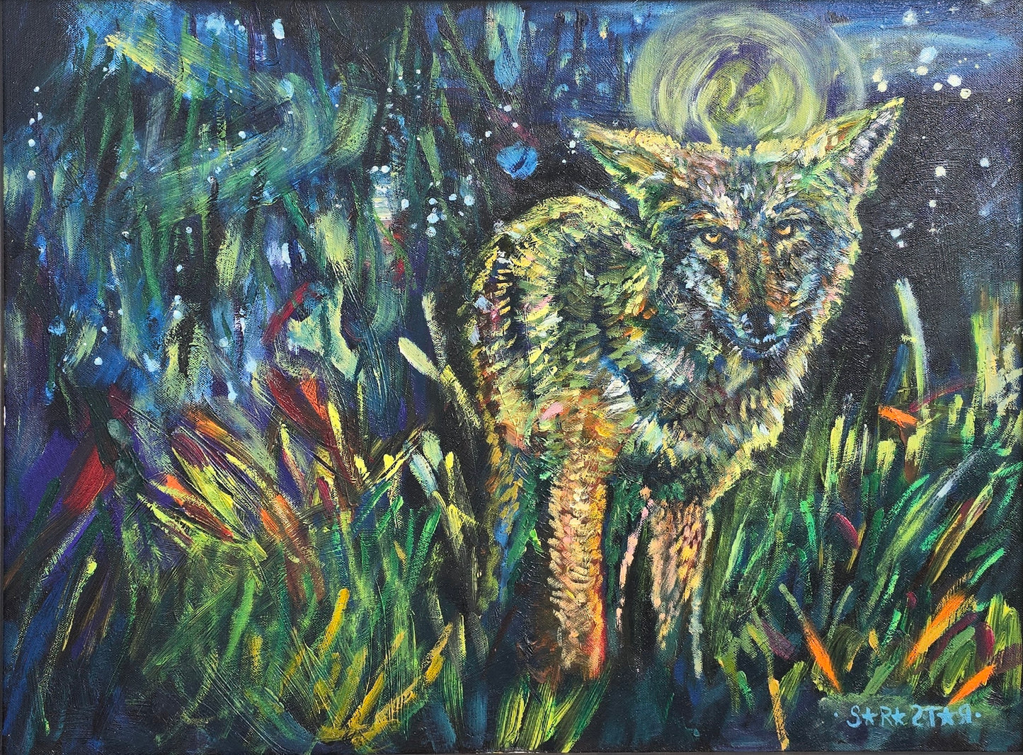 Lone Coyote